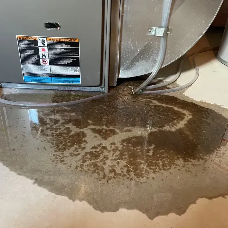 Appliance Leak Cleanup in Dover, FL